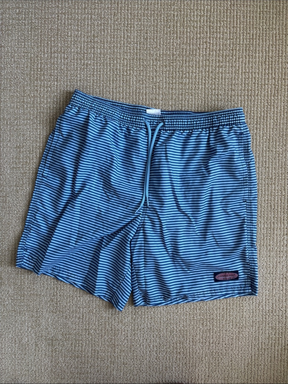 Vineyard Vines Light Blue & Navy Striped Swim Trunks
